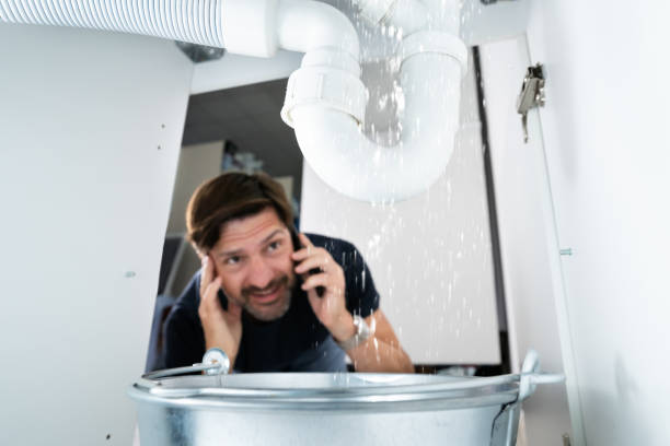 Best Drain Cleaning Services  in Greenville, AL